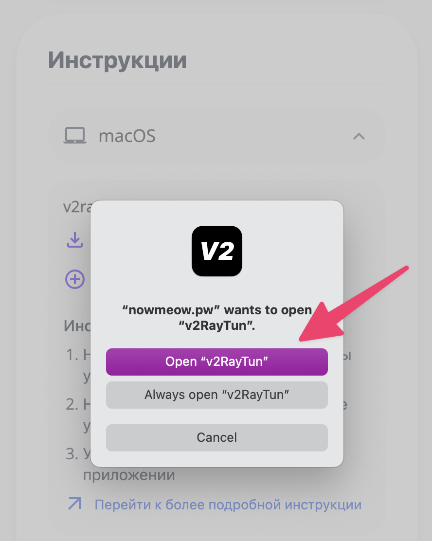 Открытие v2RayTun